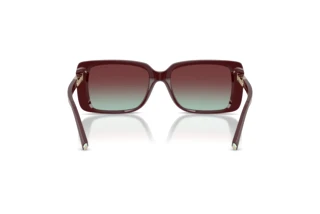 Achteraanzicht Tiffany TF4249 (8389V5)