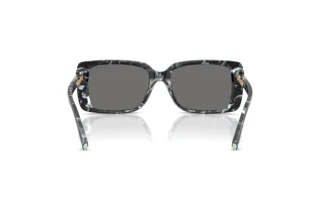 Achteraanzicht Tiffany TF4249 (842881)