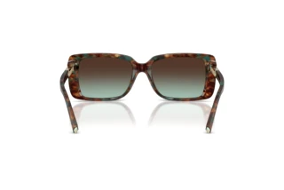 Achteraanzicht Tiffany TF4249 (84425D)