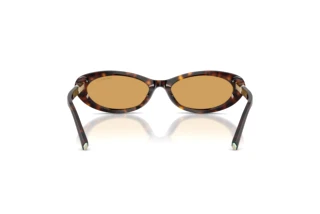 Achteraanzicht Tiffany TF4250 (801574)