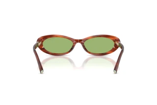 Achteraanzicht Tiffany TF4250 (8440/2)