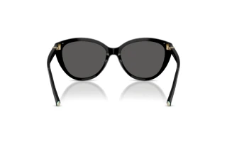 Achteraanzicht Tiffany TF4251 (8001S4)