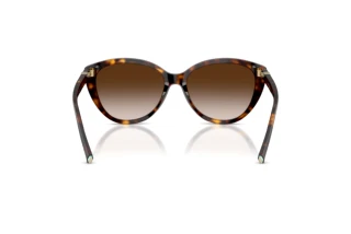 Achteraanzicht Tiffany TF4251 (80153B)
