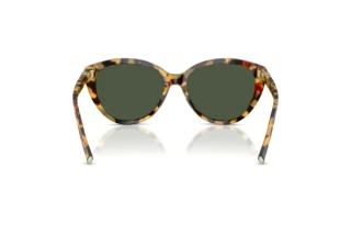 Achteraanzicht Tiffany TF4251 (80649A)