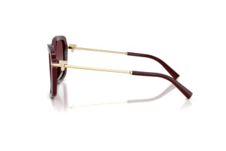 Zijaanzicht Tiffany TF4252B (8389V5)