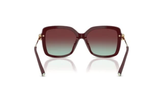 Achteraanzicht Tiffany TF4252B (8389V5)