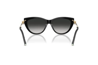 Achteraanzicht Tiffany TF4253 (80013C)