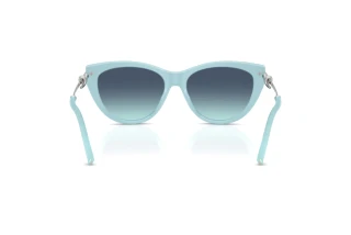 Achteraanzicht Tiffany TF4253 (80559S)