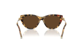 Achteraanzicht Tiffany TF4253 (80643G)