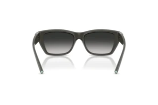 Achteraanzicht Tiffany TF4255U (84463C)