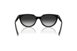 Achteraanzicht Tiffany TF4256D (80013C)