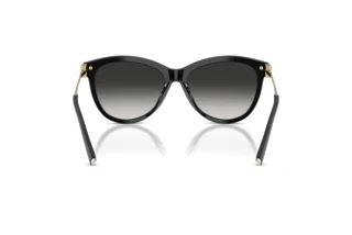 Achteraanzicht Tiffany TF4258BU (80013C)