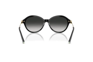 Achteraanzicht Tiffany TF4259 (80013C)