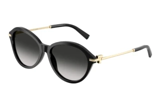 Vooraanzicht Tiffany TF4259 (80013C)