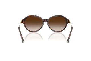 Achteraanzicht Tiffany TF4259 (80153B)