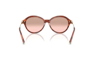 Achteraanzicht Tiffany TF4259 (84407E)