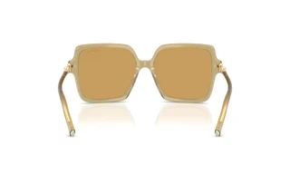 Achteraanzicht Tiffany TF4260U (846173)