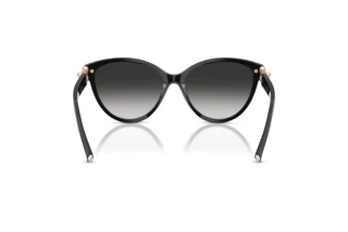 Achteraanzicht Tiffany TF4261 (80013C)