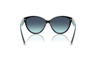 Achteraanzicht Tiffany TF4261 (80559S)