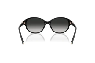 Achteraanzicht Tiffany TF4263D (80013C)