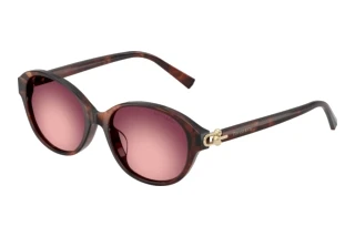 Vooraanzicht Tiffany TF4263D (84218H)