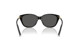 Achteraanzicht Tiffany TF4267 (8001S4)