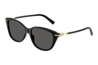 Vooraanzicht Tiffany TF4267 (8001S4)