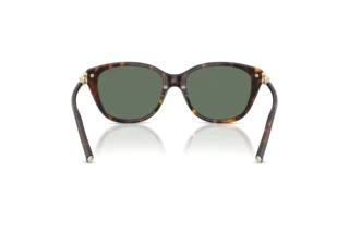 Achteraanzicht Tiffany TF4267 (80153H)