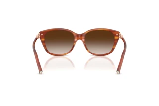 Achteraanzicht Tiffany TF4267 (84693B)