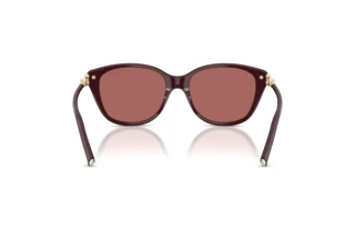 Achteraanzicht Tiffany TF4267 (847069)