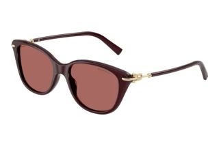 Vooraanzicht Tiffany TF4267 (847069)