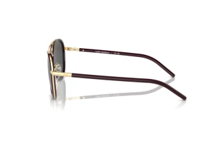 Zijaanzicht Tory Burch TY6089 (194887)