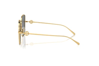 Zijaanzicht Tory Burch TY6106D (334387)