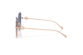 Zijaanzicht Tory Burch TY6106D (33584U)