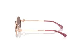 Zijaanzicht Tory Burch TY6113 (33587N)