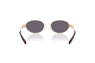Achteraanzicht Tory Burch TY6116 (33461A)