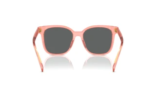 Achteraanzicht Tory Burch TY7203U (199087)
