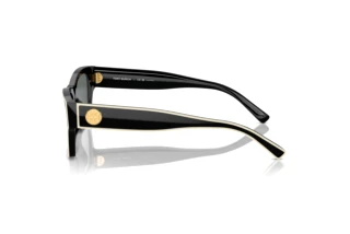 Zijaanzicht Tory Burch TY7207U (200481)