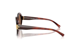 Zijaanzicht Tory Burch TY7210U (201173)