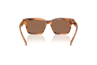 Achteraanzicht Tory Burch TY7227D (192573)