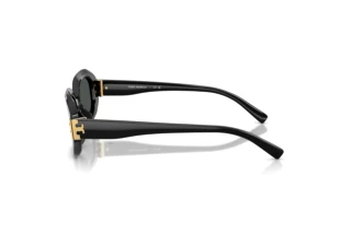Zijaanzicht Tory Burch TY7234U (170987)