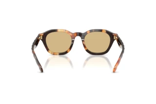 Achteraanzicht Tory Burch TY7235D (20660R)