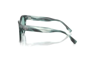 Zijaanzicht Tory Burch TY7236U (206882)
