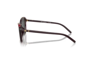 Zijaanzicht Tory Burch TY9074U (194887)