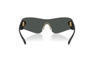 Achteraanzicht Versace VE2280 (100287)