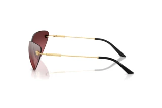 Zijaanzicht Versace VE2281 (10027E)