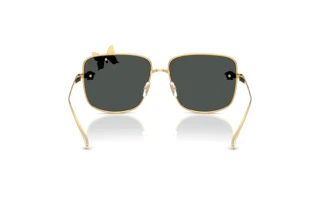 Achteraanzicht Versace VE2282 (100287)
