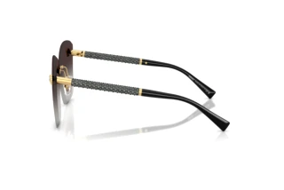 Zijaanzicht Versace VE2292B (10028G)
