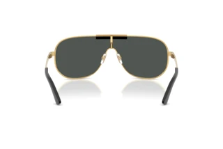 Achteraanzicht Versace VE2293 (100287)