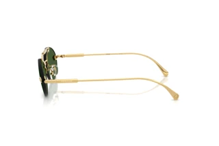 Zijaanzicht Versace VE2295 (100271)